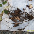 기수농장 이미지