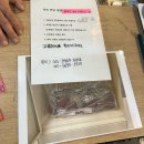 롯데월드 매직패스 프리미엄권 현장구매 &amp; 서울교복 대여 후기 (tmi 일기)
