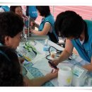 무릉도원-한 여름밤 이미지