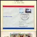 우정벌목