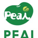 대치 빅3 어학원 피아이(PEAI) 레테