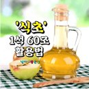 식초' 1석 60조 활용법 이미지