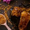 화분인간 이미지