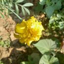 해뜬농장 이미지