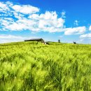 천북농장 이미지