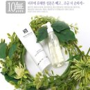 [공구] 홍진경이 선택한 쏭레브 임산부 튼살크림150ml+오일120ml 이미지