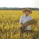 친환경농산물 이미지