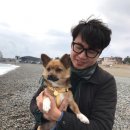 시현애견사랑 네이버블로그