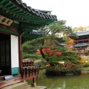 비-원 이미지