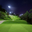 라운드비전 이미지