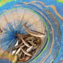 구름사다리펜션 이미지