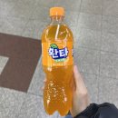 엔드 오브 에반게리온 엔드 오브 에바 eve 후기 그리고 에반게리온 짤 모음