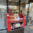 로즈애플자이