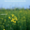 춘천역앞 이미지