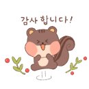 호커피