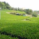 14-1코스 이미지