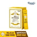 골드핏