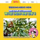 이민숙농장 이미지