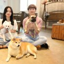 영진펫 이미지