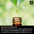 에스테틱베이비페이스 이미지