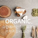 로로글로벌