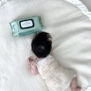 [베베숲] 시그니처 위드 그린 물티슈 &amp; 신제품 선스틱