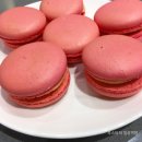 마카롱판다 이미지