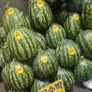 청량리청과물시장 | 과일이 엄청 저렴한 청량리 청과물시장 수박 후기 주차꿀팁