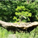 산오름휴게소 이미지