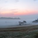 안서목장 이미지