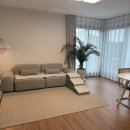 스테이다랑쉬502 이미지