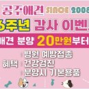 공주애견&Black Dog 이미지