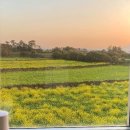 맨션531펜션 | 제주도 한달살기 가성비 숙박 추천 미스터멘션 할인 이벤트