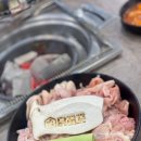 닭꿉꼬 이미지