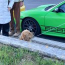 성베드로의집 | [바티칸-바티칸시티] 서울시민의 이탈리아 일상🇮🇹 2편 (+바티칸 박물관, 성 베드로 성당)