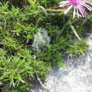 인평농장 이미지