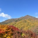 오이코스테이 이미지