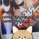 한국체대 태권도 스쿨 이미지