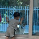 안녕 멈머야 이미지