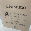 엘라인스튜디오