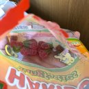 밥스카페 이미지