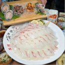 삼바리회센타