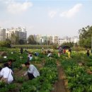 한강가족농장 이미지