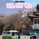 너릿재길1 이미지