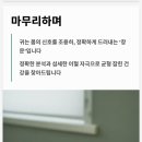 귀건강이혈테라피 이미지