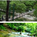 26년한길 8월 강원도 [홍천 수타사 ] 산소길 산행 이미지