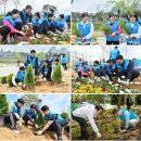 MOM’S GARDEN 이미지