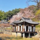 효령어린이공원 | 강릉 가볼만한곳 바다부채길 선교장 등 5곳 당일치기 여행 추천