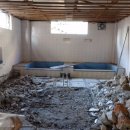 코리아목욕탕 이미지