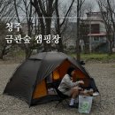 청주 금관숲캠핑장 당일 노지 캠핑 피크닉 후기